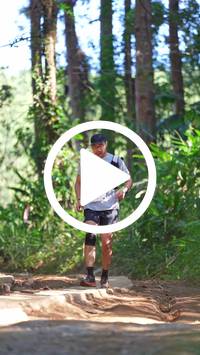 BIB:  <button type="button" onclick="openModal(26787796)" class="btn btn-primary btn-sm float-right" data-toggle="modal" data-target=".modal-high-quality">
                <i class="fa fa-download"></i> Download
                </button>